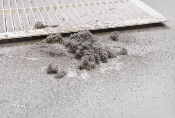 Best Ductwork Cleaning Services  in Osage, IA