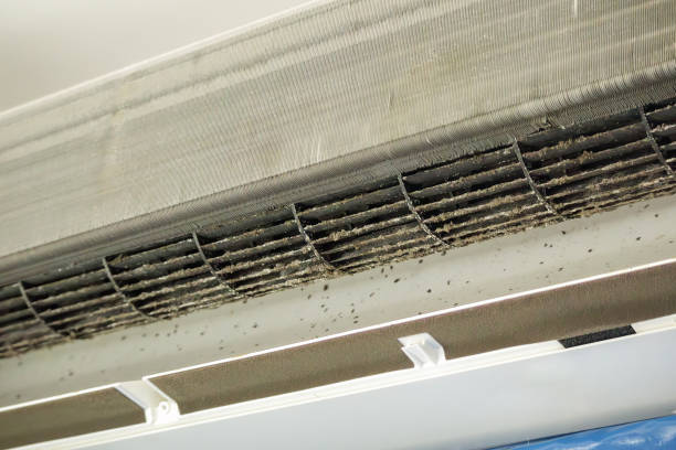Best Affordable HVAC Duct Cleaning  in Osage, IA