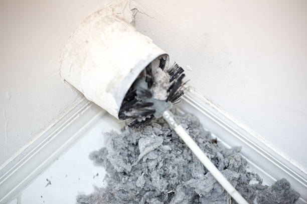 Best Local Air Duct Cleaning Services  in Osage, IA